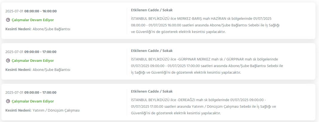 Bu geceden itibaren başlıyor: İstanbul'un 24 ilçesinde dev elektrik kesintisi 22